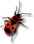 404 bug